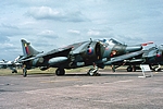 Harrier GR Mk.3 XV751 (M) Finningley 29071977 D094-22