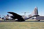 Hercules C Mk.1 XV291 Mildenhall 24051997 D15312